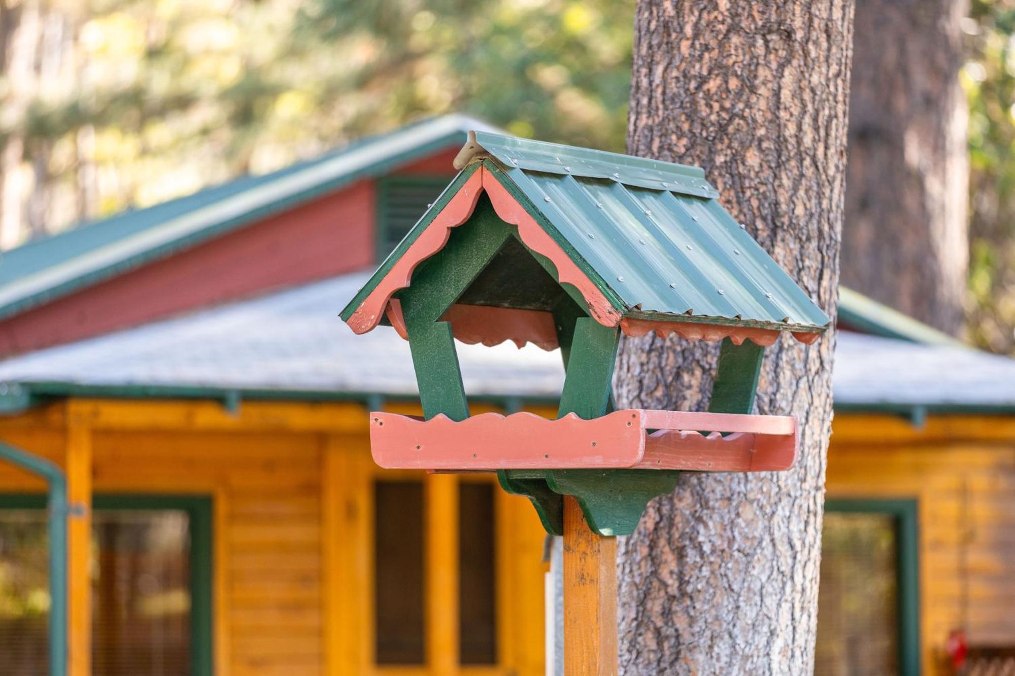 Ruidoso Lodge Cabin #5 Exterior photo